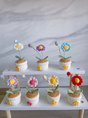 Häkel Gänseblümchen Blumen Topf Handgemachter Schreibtischdeko Geschenk