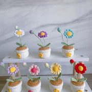 Häkel Gänseblümchen Blumen Topf Handgemachter Schreibtischdeko Geschenk