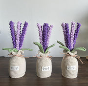 Häkel Lavendel Blumen Topf Handgemachter Garn Strauß