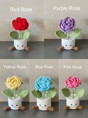 Häkelrosen Topf Rosa Lila Zarter Geschenk