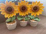 Häkel Sonnenblumen Häkelblumen Topf Gestrickter Blumen Geschenk