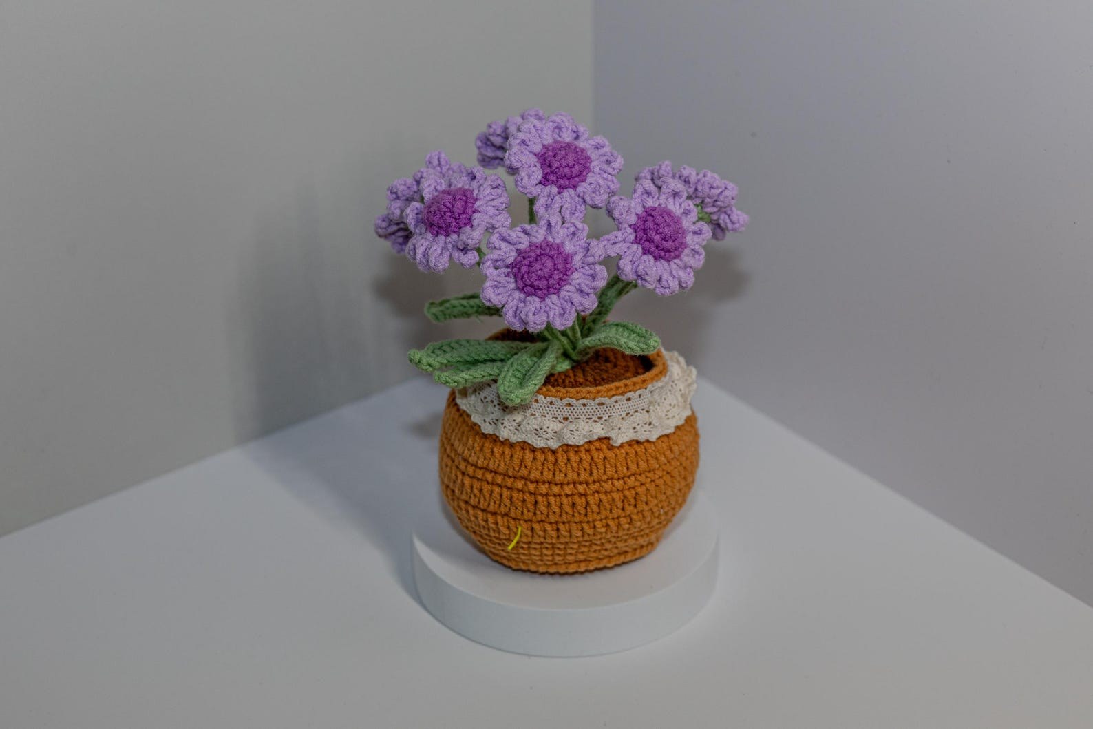 Häkelblumen Topf Häkel Gänseblümchen Blumen Zarter Häkel