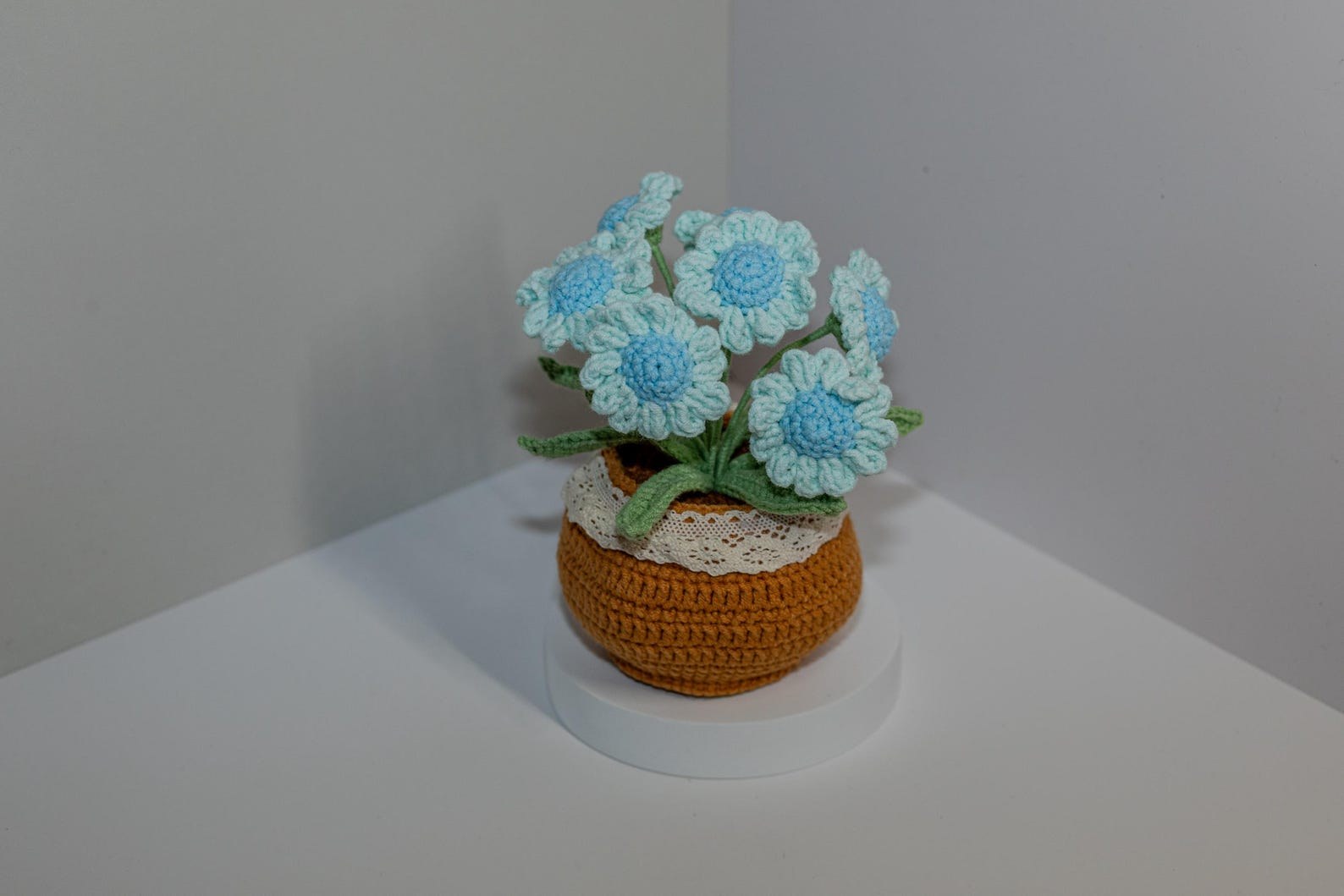 Häkelblumen Topf Häkel Gänseblümchen Blumen Zarter Häkel