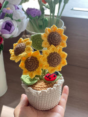 Häkelblumen Topf Häkel Sonnenblumen Abschluss Geschenk