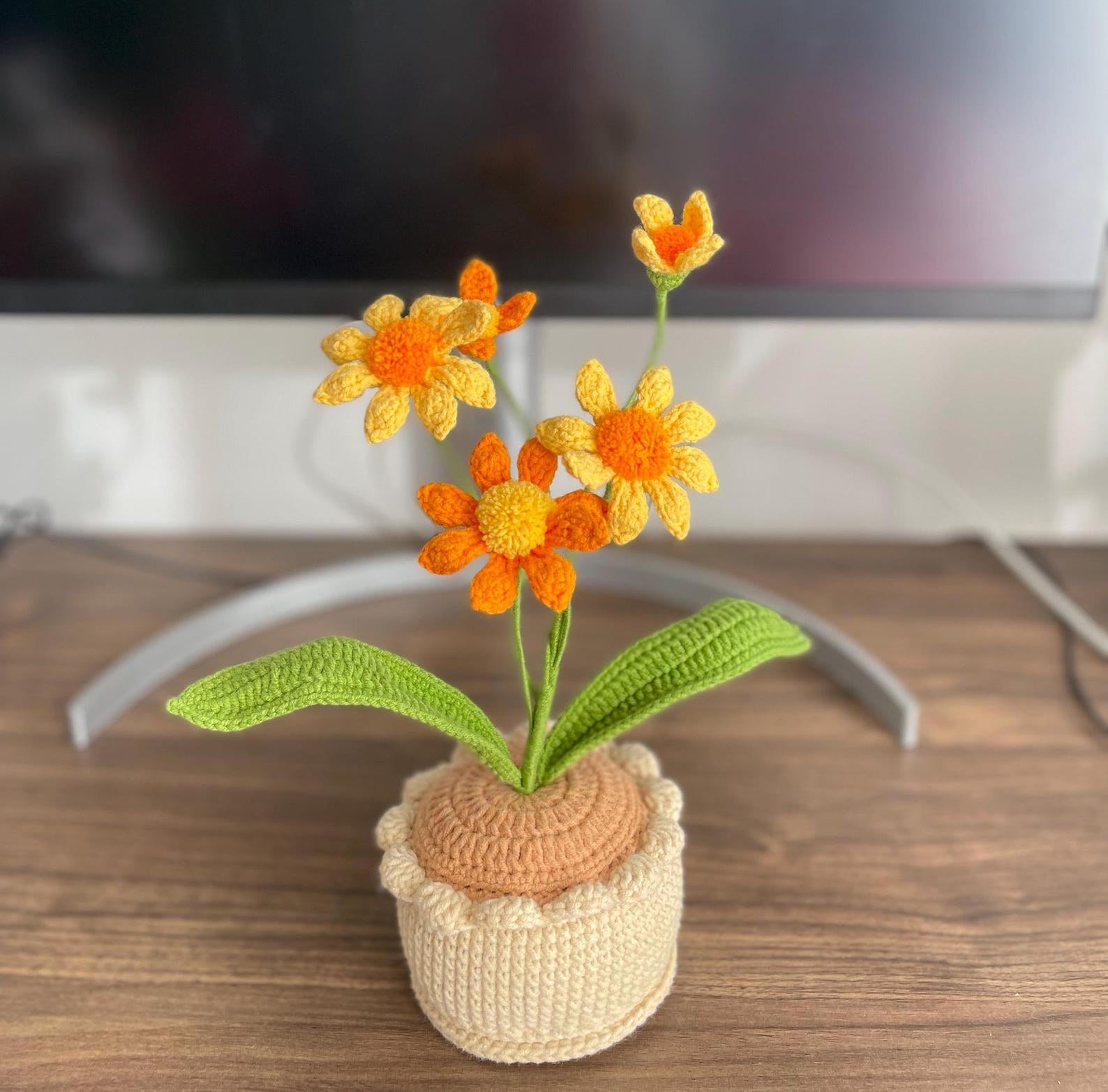 Häkelblumen Topf Handgemachter Geschenk für Mama