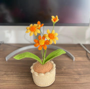 Häkelblumen Topf Handgemachter Geschenk für Mama