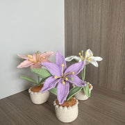 Handgemachter Häkel Lilien Blumen Topf Einzigartiger Häkel Strauß